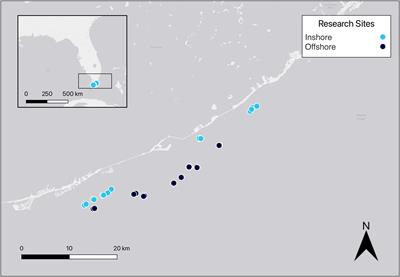 Abundance, patterns, and taxa associations of anthropogenic marine debris on reefs in the middle Florida Keys